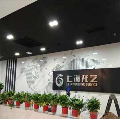 上海龙艺公司背景墙,不锈钢立体字案例